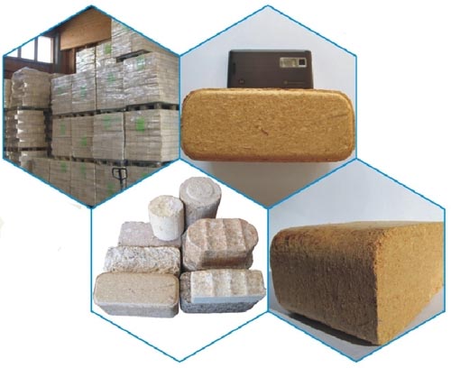 Biomass Briquettes